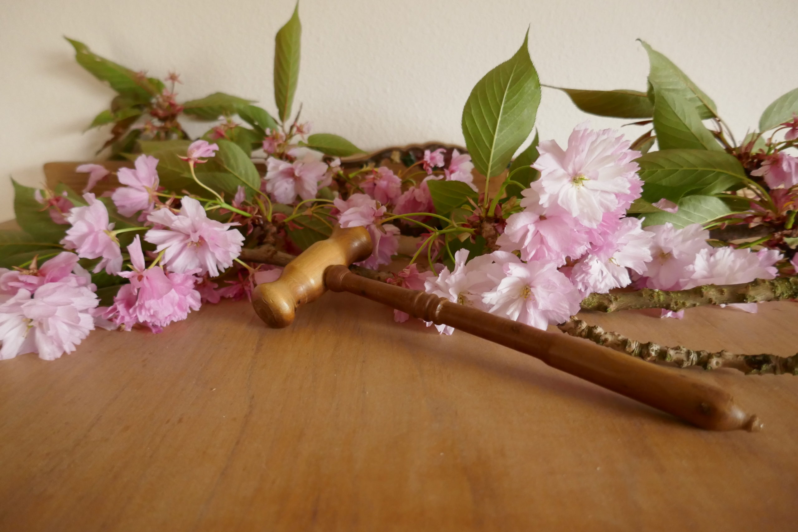 Historic gavel from 1934 is surrounded by flowering cherry blossoms.